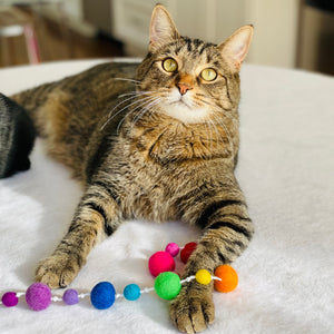 Rainbow Wool Ball Fishing Cat Toy – Joy & Treasure