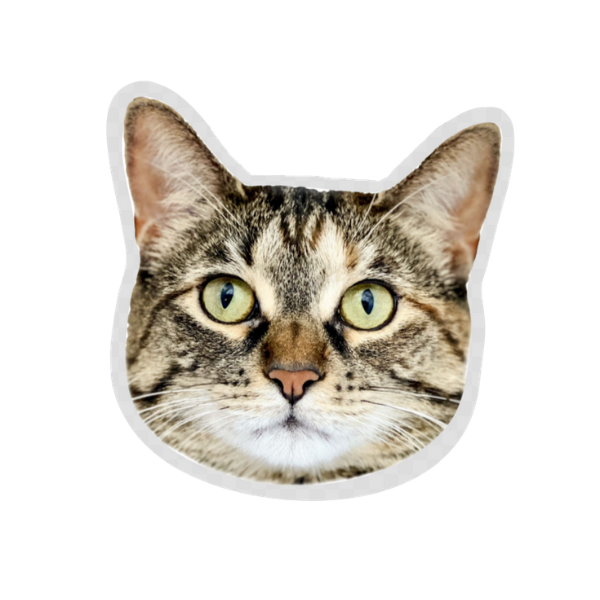 Cat Head Sticker